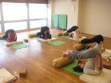 マヒナマインの日常日記